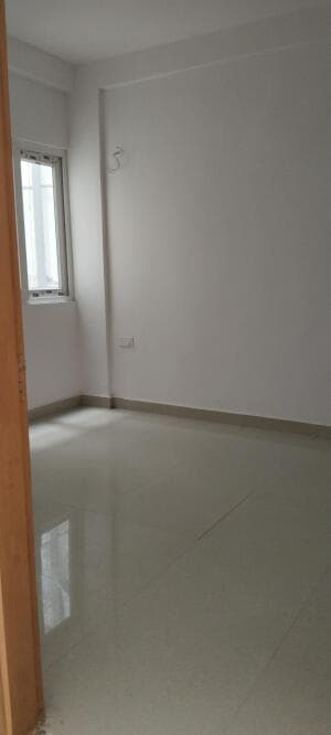 SS Linden Floors