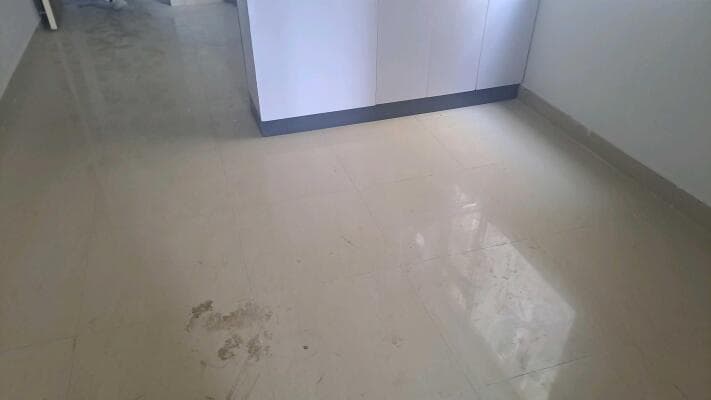 Semi-Furnished 2 BHK Residential for Rent in Sector 95, Gurgaon